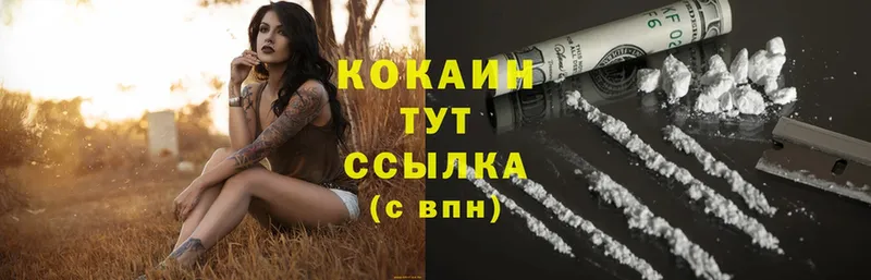 COCAIN FishScale  где купить наркоту  Ефремов 