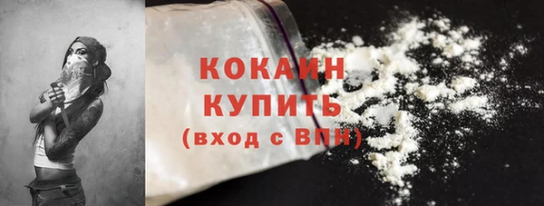 мяу мяу мука Елизово