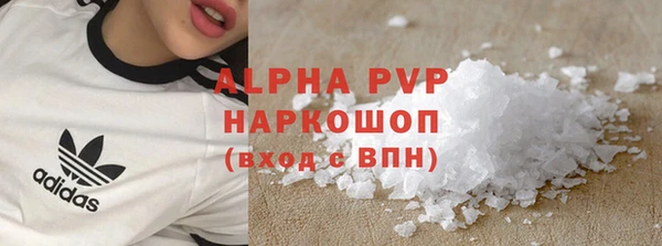 PSILOCYBIN Елабуга