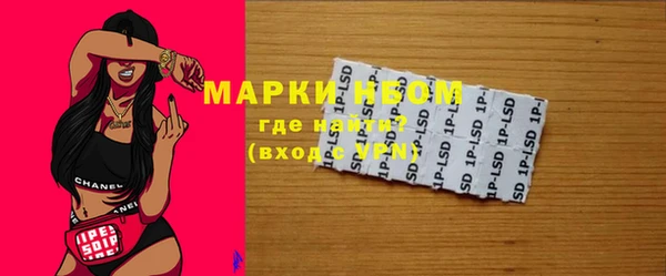 PSILOCYBIN Елабуга