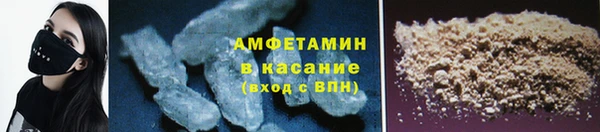 прущие крисы Ельня