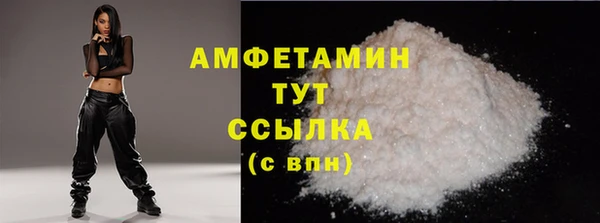 прущие крисы Ельня