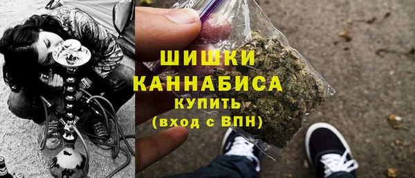 прущие крисы Ельня