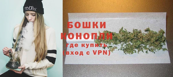 прущие крисы Ельня