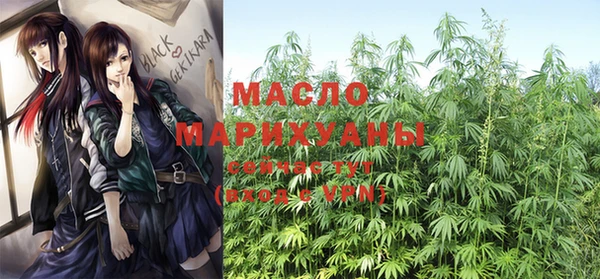 прущие крисы Ельня