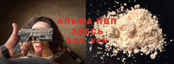 PSILOCYBIN Елабуга