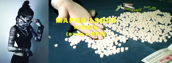 PSILOCYBIN Елабуга