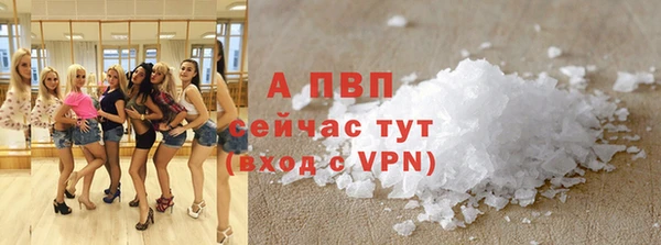 PSILOCYBIN Елабуга
