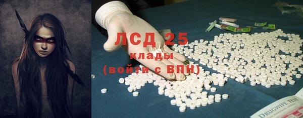 PSILOCYBIN Елабуга