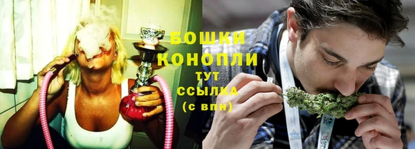 прущие крисы Ельня