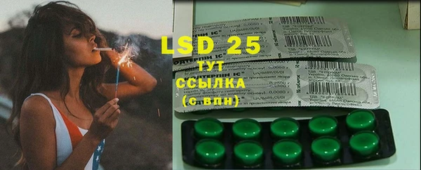 PSILOCYBIN Елабуга