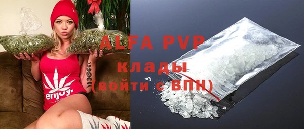 прущие крисы Ельня