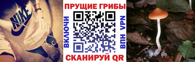 Галлюциногенные грибы ЛСД  Ефремов 
