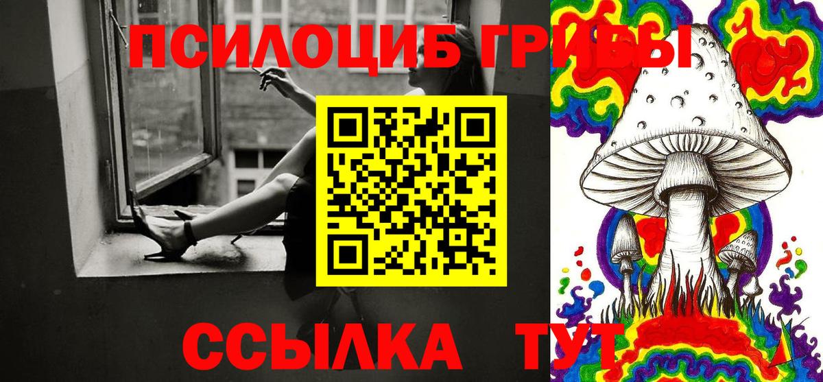 Галлюциногенные грибы мухоморы  Галлюциногенные грибы прущие грибы  Ефремов 