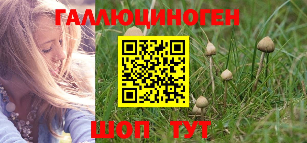 Псилоцибиновые грибы ЛСД  Псилоцибиновые грибы ЛСД  как найти наркотики  Вход с VPN  Ефремов 
