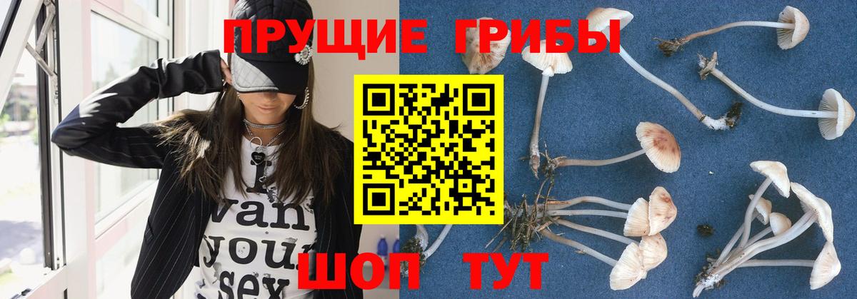 Галлюциногенные грибы Ефремов